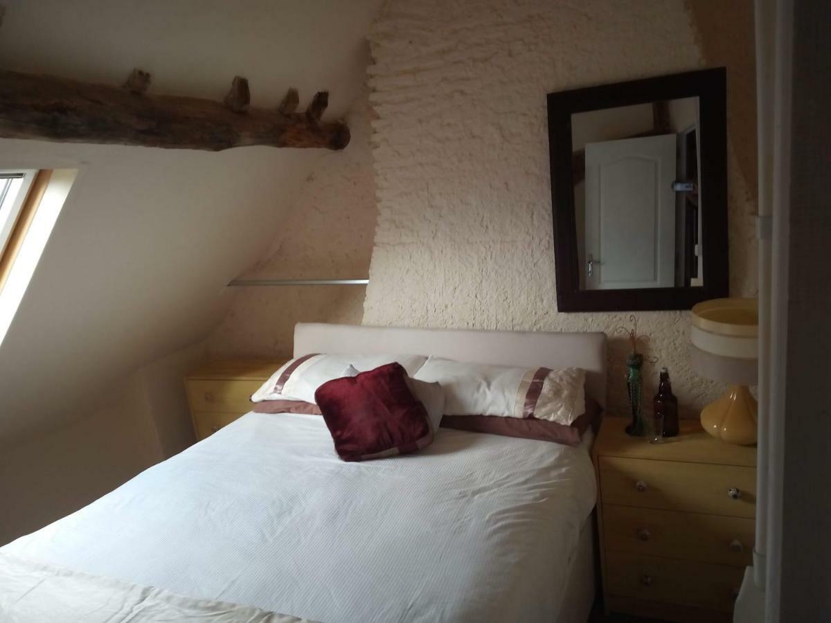 Tronget Le Petit Savriere B&B מראה חיצוני תמונה